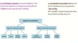 Les étapes de la socialisation